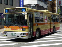 KL-UA452MANi{ԑ̃{fBj