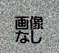 摜WI